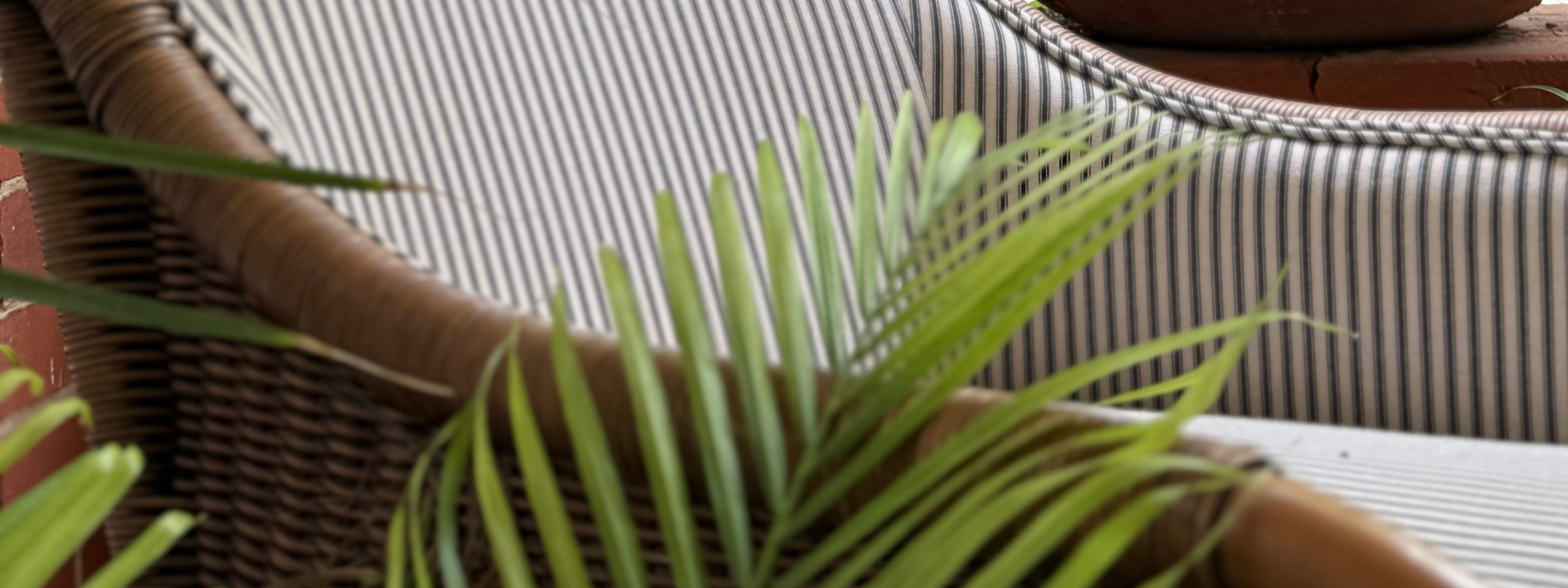 Refining the Finishing Touch: Cushions